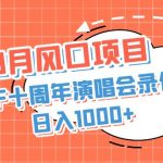 （6868期）8月风口项目，利用TF十周年演唱会录像变现，日入1000+，简单无脑操作