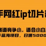 （6832期）快手网红ip切片新赛道，竞争小事，适合小白  2023蓝海项目