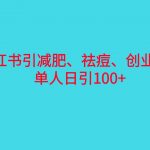 （6799期）小红书精准引流，减肥、祛痘、创业粉单人日引100+（附软件）