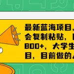 （6780期）最新蓝海项目，只要会复制粘贴，日入800+，大学生考研项目，目前做的人极少