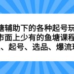 （6769期）鱼塘 辅助下的各种起号玩法，市面上少有的鱼塘课程 养鱼 起号 选品 爆流…