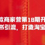 小红书爆款商家营第18期升级版，用小红书引流，打造淘宝爆款