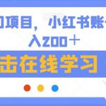 最新冷门项目，小红书账号解封日入200＋【揭秘】