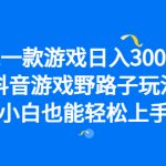 （6760期）靠一款游戏日入3000+，抖音游戏野路子玩法，小白也能轻松上手