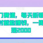 冷门赛道，每天听歌一小时就能赚钱，一周变现2000【揭秘】