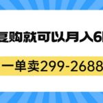 一单卖299-2688，一个靠复购就可以月入6k的暴利项目【揭秘】