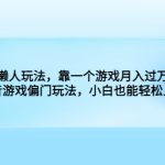 （6741期）懒人玩法，靠一个游戏月入过万，抖音游戏偏门玩法，小白也能轻松上手