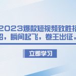 （6738期）2023爆款短视频致胜招法，学会一招，瞬间起飞，卷王出征，寸草不生