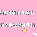 （6733期）抖音小程序神图君撸金项目，用手机每天拍个手型挂载一下小程序就能赚钱