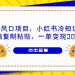 （6717期）8月新风口项目，小红书冷知识账号，无脑复制粘贴，一单变现300块