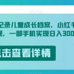 冷门项目，记录儿童成长档案，小红书虚拟资源变现，一部手机实现日入300+【揭秘】