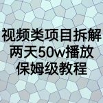 （6693期）视频类项目拆解，两天50W播放，保姆级教程