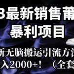 2023最新销售莆田鞋暴利项目，搭配全新无脑搬运引流方法，新手小白日入2000+【揭秘】