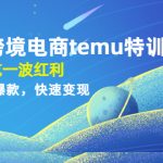 （4622期）拼多多跨境电商temu特训营：先入局吃一波红利，从0到1打造爆款，快速变现