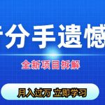 （6633期）自媒体抖音分手遗憾项目私域项目拆解