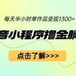 （6613期）最新抖音小程序撸金躺赚项目，一部手机每天半小时，单个作品变现1300+