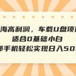 （6600期）蓝海高利润，车载U盘项目，适合0基础小白，一部手机轻松实现日入500+