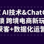 （6599期）独家 AI技术&ChatGPT解锁 跨境电商新玩法，引流获客+数据化运营思维