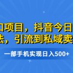 （6588期）风口项目，抖音今日话题玩法，引流到私域卖单品，一部手机实现日入500+