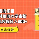 （6546期）蓝海项目，免费资料引流大学生粉一部手机实现日入300+