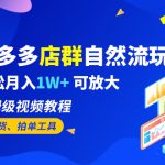 （6545期）拼多多店群自然流玩法，轻松月入1W+ 保姆级视频教程（附上货、拍单工具）