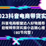 （6536期）2023抖音电商带货实战，橱窗达人好物推荐，实操小店随心推（80节完整）