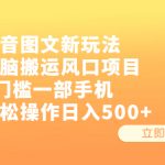 （6527期）抖音图文新玩法，无脑搬运风口项目，0门槛一部手机轻松操作日入500+