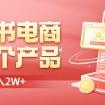 （6510期）小红书无货源电商0门槛开店，卖这个品轻松实现月入2W