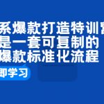 （6478期）淘系爆款打造特训营：这是一套可复制的打爆款标准化流程