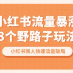 （6476期）小红书流量-暴涨8个野路子玩法：小红书新人快速流量破局（8节课）