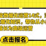 （6475期）2023淘宝数据化-运营 14式，深度解析数据化知识，帮你从小白成长为高级运营