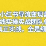 （6441期）小红书导流变现营，一线实操实战团队总结，真正实战，全是细节