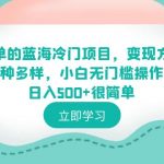 （6422期）超简单的蓝海冷门项目，变现方式多种多样，小白无门槛操作日入500+很简单