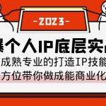 （6417期）打爆·个人IP底层实战课，成熟专业的打造IP技能 全方位带你做成能商业化IP