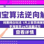 （6414期）淘宝算法·逆向解密：纯黑纯白玩法 7天上首页纯搜索 手淘首页14天流量过万