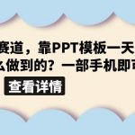 （6385期）超级蓝海赛道，靠PPT模板一天变现1000是怎么做到的（教程+99999份PPT模板）