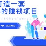 （6379期）最新6月份《如何设计一套100%赚钱的项目系统》