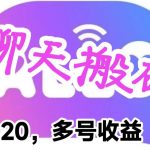 （6376期）最新蓝海聊天平台手动搬砖，单号日入20，多号多撸，当天见效益