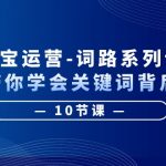 （6318期）淘宝运营-词路系列课：手把手带你学会关键词背后的需求（10节课）