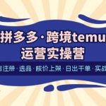 （6319期）拼多多·跨境temu运营实操营：开店注册·选品·核价上架·日出千单·实战课