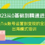 （6299期）2023从0基础到精通进阶，TikTok账号运营到变现的全流程出海模式培训