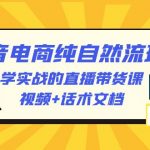 （6280期）2023抖音电商·纯自然流玩法：学实战的直播带货课，视频+话术文档