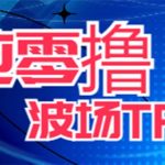 （6265期）最新国外零撸波场项目 类似空投,目前单窗口一天可撸10-15+【详细玩法教程】