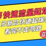 （6253期）拼多多-快速流量起爆实战，拼多多新品快速起爆实操，看完不走弯路