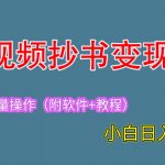 （6246期）2023中视频抄书变现（附工具+教程），一天300+，特别适合新手操作的副业