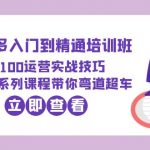 （6243期）2023拼多多入门到精通培训班：0-100运营实战技巧 精细化系列课带你弯道超车