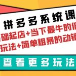 （6217期）拼多多系统课：0基础起店+当下最牛的低价起量玩法+简单粗暴的动销玩法