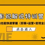 （6194期）某影视解说-收费特训营，0基础也能快速掌握（剪辑+运营+变现全流程）