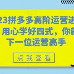 （6193期）2023拼多多高阶运营进阶篇，用心学好四式，你就是下一位运营高手