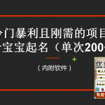 （6190期）【新课】冷门暴利项目：给宝宝起名（一单200+）内附教程+工具